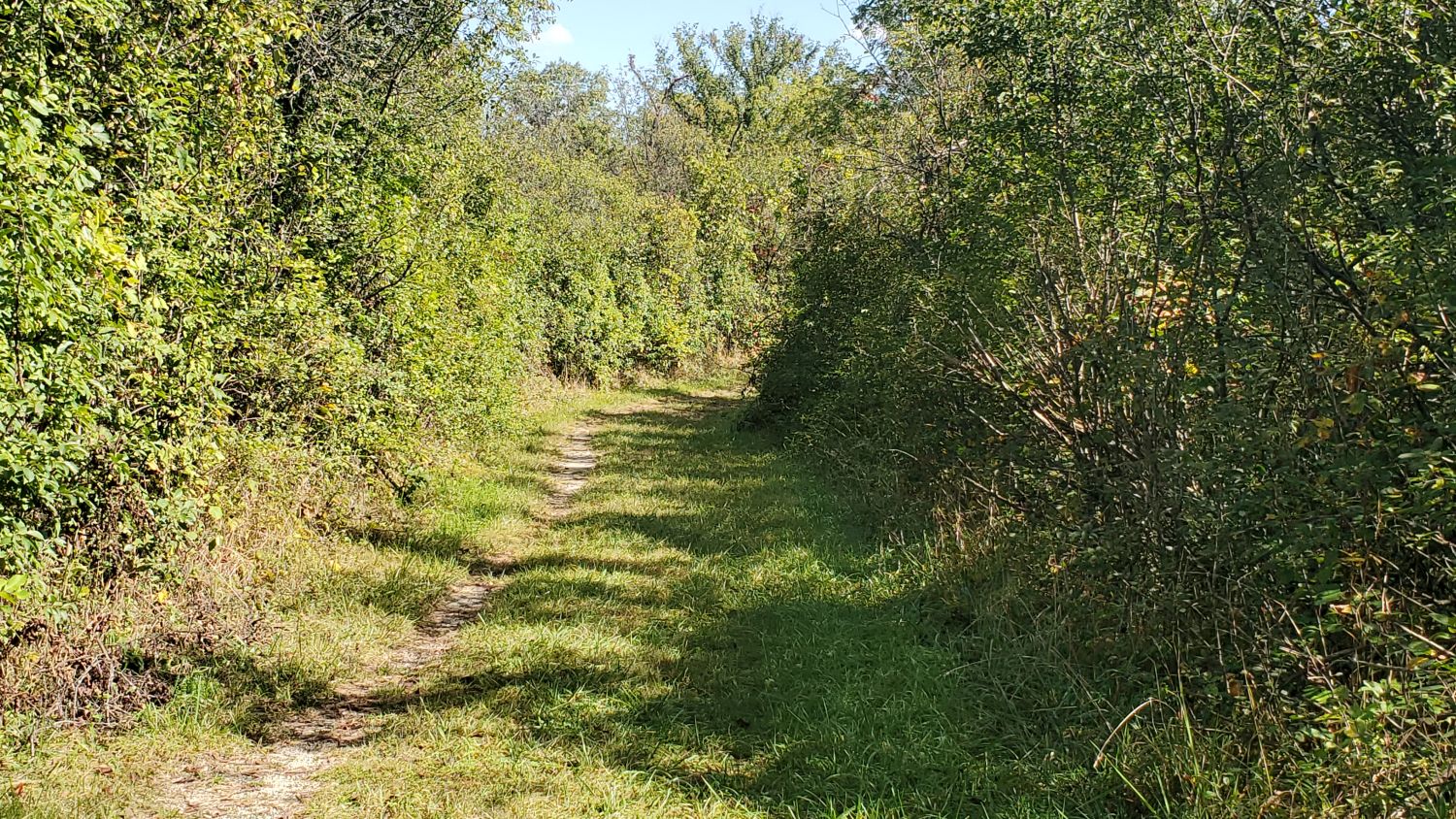 Sag Valley Trail System 